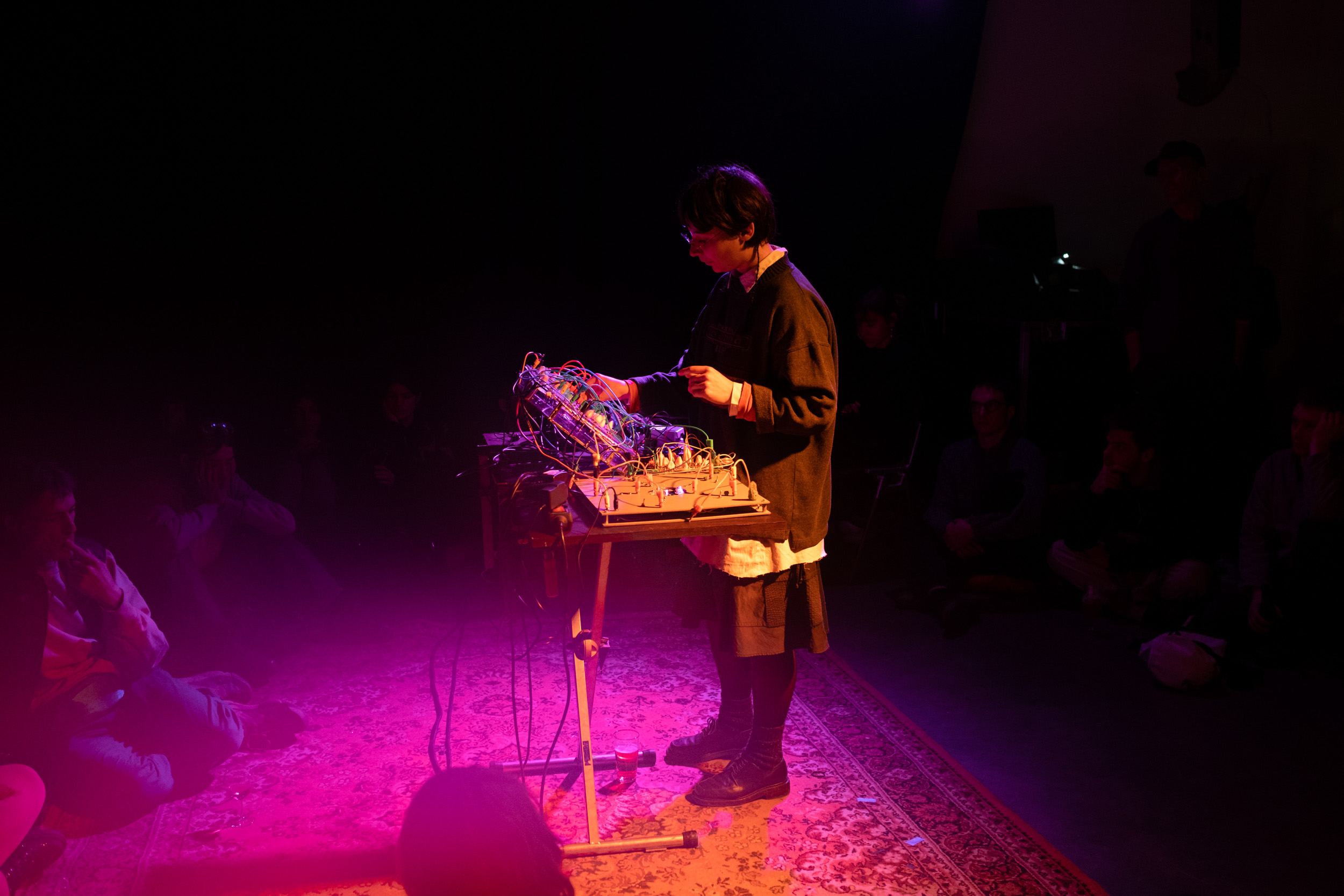 Performance by Arnica Montana (aka Helene Blondel)