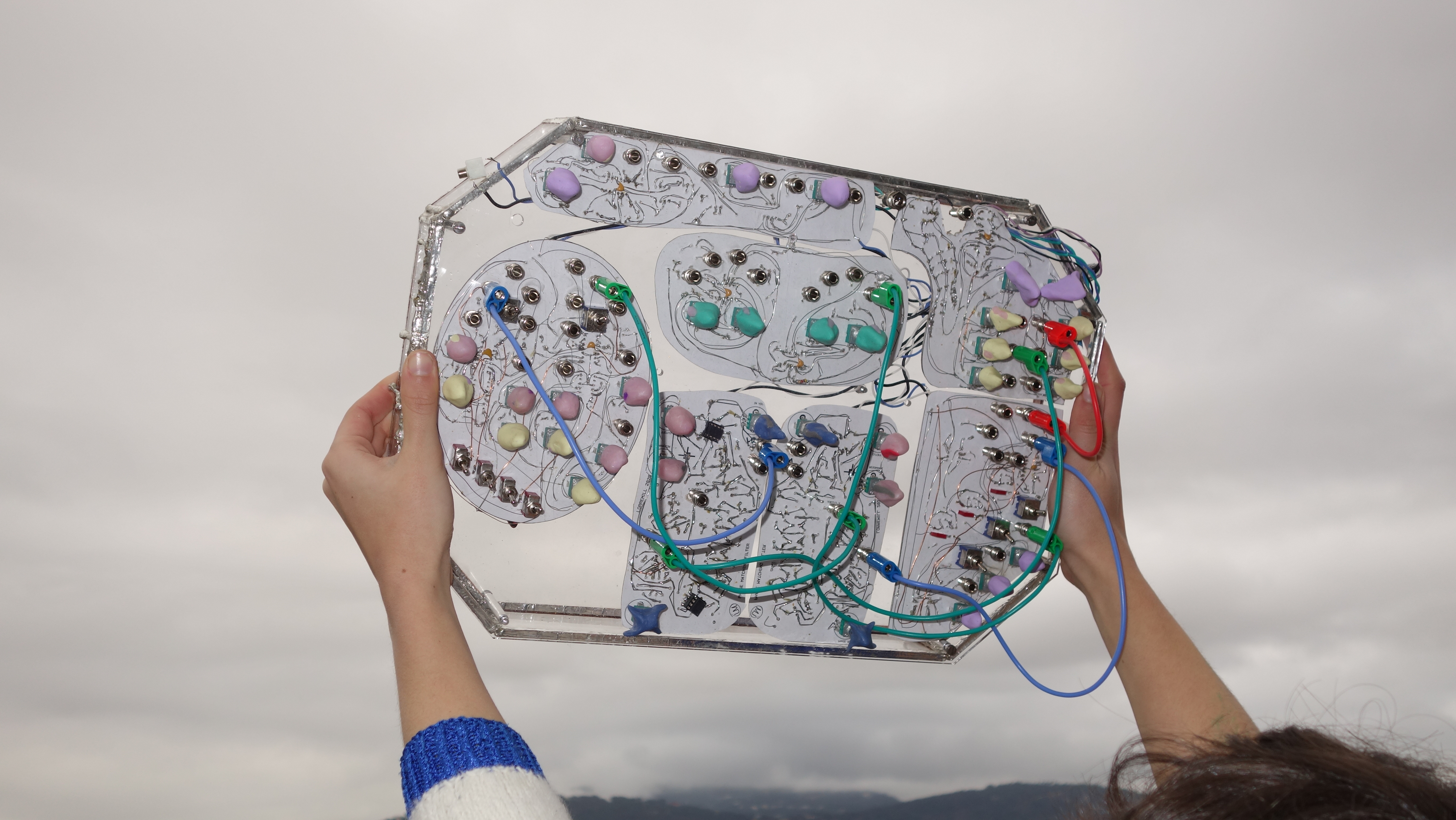 Electronic module by Arnica Montana (aka Helene Blondel)