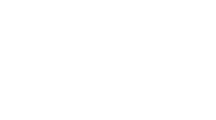 PZI